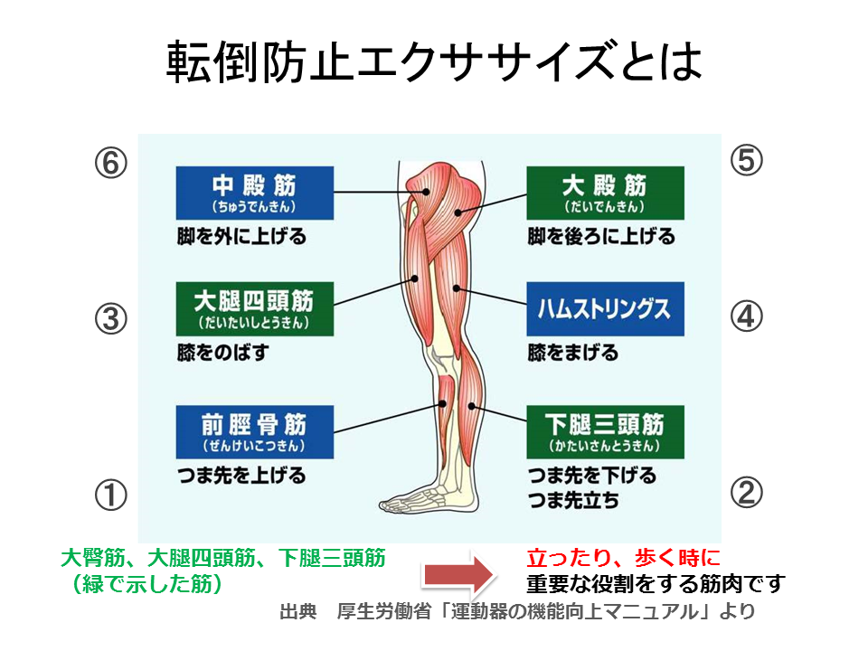 健康寿命延伸のためにやってみよう(高齢者向け) | 実践情報 | かながわ 