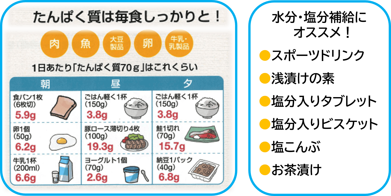 たんぱく質は毎食後たっぷり摂る　塩分補給にはスポーツドリンクや浅漬けなども