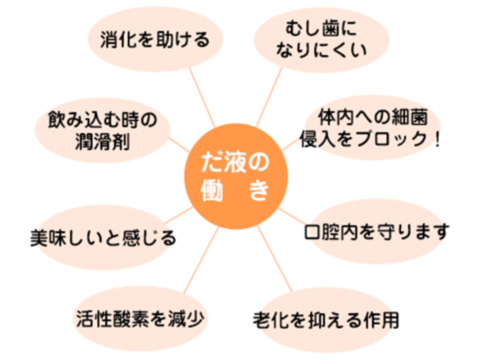 だ液の働き (1)むし歯になりにくい(2)体内への細菌侵入をブロック(3)口腔内を守ります(4)老化を抑える作用(5)活性酵素を減少(6)美味しいと感じる(7)飲み込む時の潤滑剤(8)消化を助ける