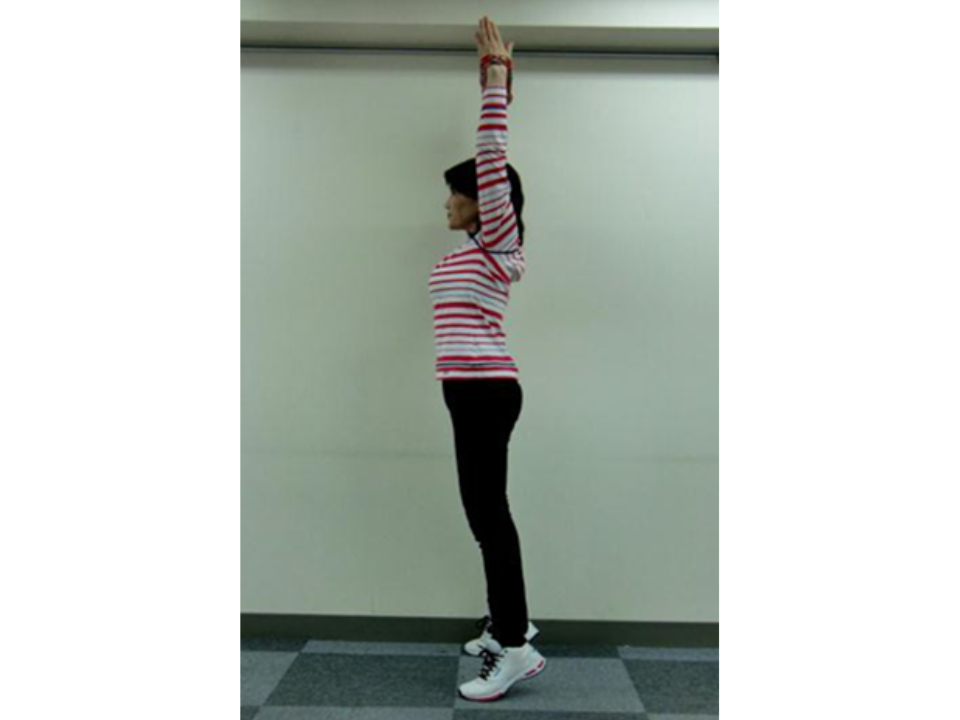かかとの上げ下げの様子