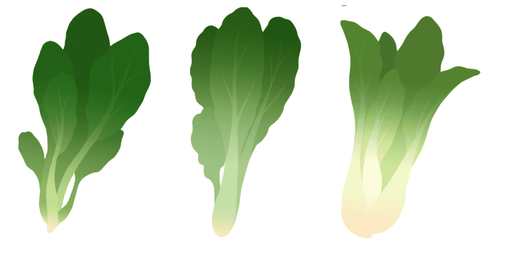 野菜のイメージ画像