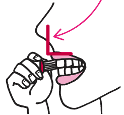 歯ブラシを当てている様子