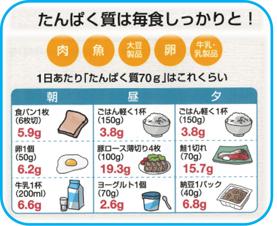 たんぱく質を毎食しっかりと！肉、魚、大豆製品、卵、牛乳・乳製品