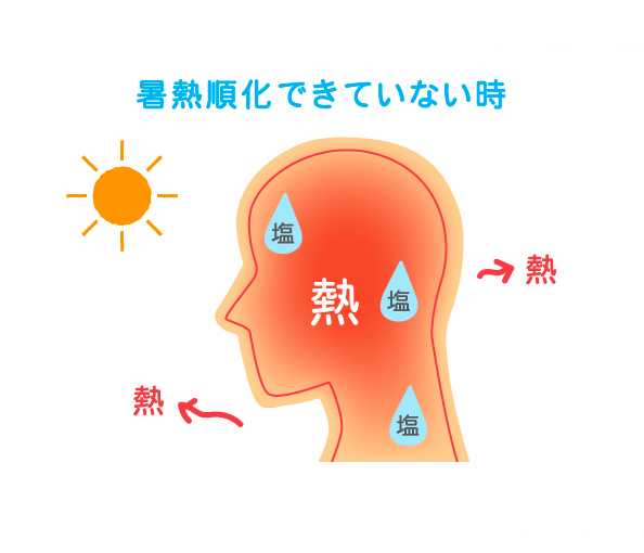 暑熱順化できていない時