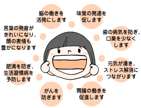 よく噛むことは、(1)脳の働きを活発にします(2)味覚の発達を促します(3)派の病気を防ぎ、講習を少なくします(4)元気が湧き、ストレス解消につながります(5)胃腸の働きを促進します(6)がんを防ぎます(7)肥満を防ぎ、生活習慣病を予防します(8)言葉の発音がきれいになり、顔の表情も豊かになります。