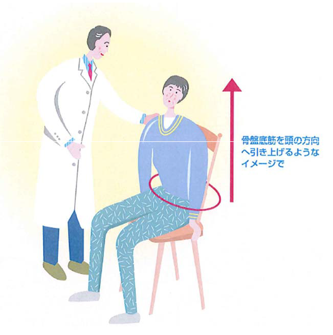 骨盤底筋を頭の方向へ引き上げるようなイメージで