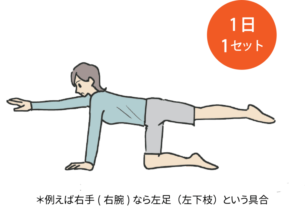 四つばいで右手(右腕)と左足(左下肢)を上げたイラスト