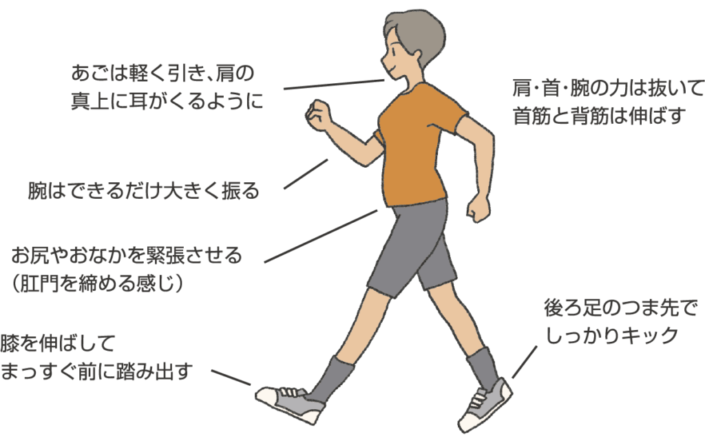 理想のウォーキングフォーム