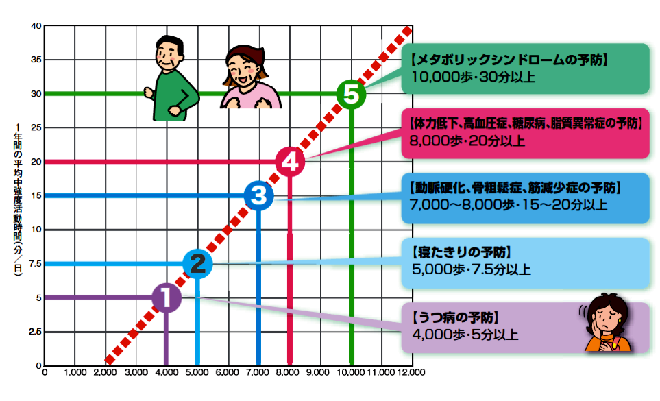 日常の身体活動の量(歩数)・質(中強度の活動時間)と心身の健康との関係(グラフ)。メタボリックシンドロームの予防:10000歩、30分以上。」体力低下、高血圧症、糖尿病、脂質異常症の予防:8000歩、20分以上。動脈硬化、骨粗しょう症、筋減少症の予防:7000から8000歩、15から20分以上。寝たきりの予防:5000歩、7.5分以上。うつ病の予防:4000歩、5分以上。