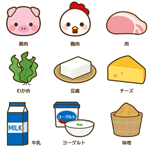 豚肉、鶏肉、肉、わかめ、豆腐、チーズ、牛乳、ヨーグルト、味噌のイメージ画像