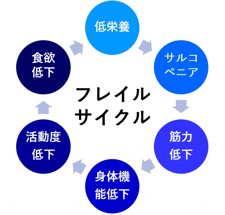 フレイルサイクル(低栄養、サルコペニア、筋力低下、身体機能低下、活動度低下、食欲低下)