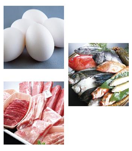 タマゴ、魚、肉のイメージ画像