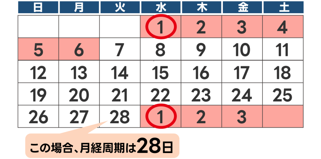 月経周期の数え方(月経周期が28日の場合)