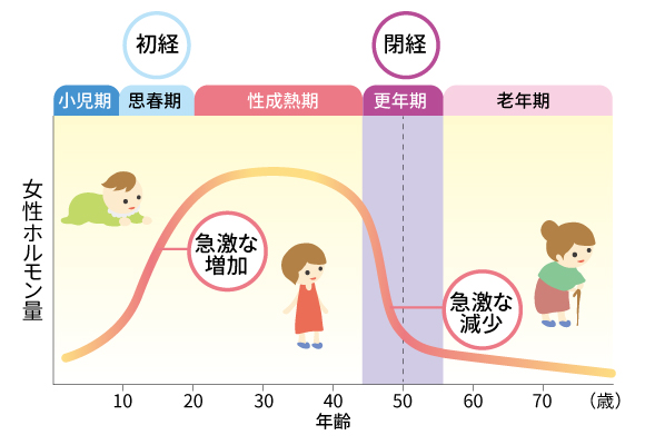 図:女性ホルモン量と年齢の関係