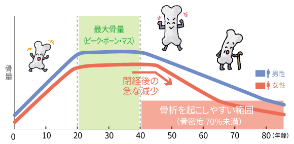 図:骨量と年齢の関係