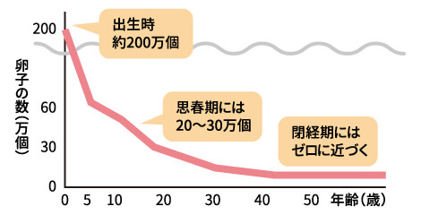 グラフ:女性の各年齢における卵子の数の変化