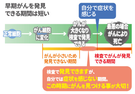 図:早期がんを発見できる期間は短い