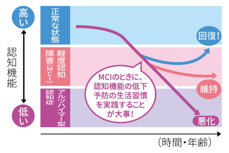 認知機能の低下のイメージ画像