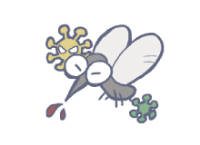 媒介物感染のイメージ画像