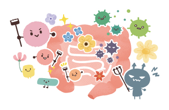 腸内フローラのイメージ画像